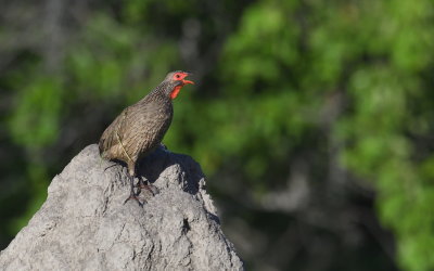 BTW-2017_D5_04011.JPG