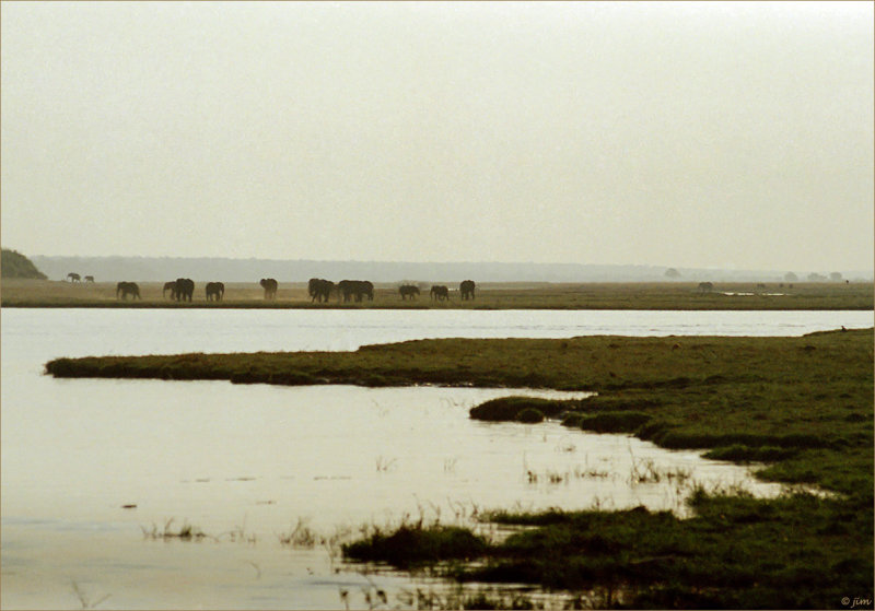 Chobe River Sunset