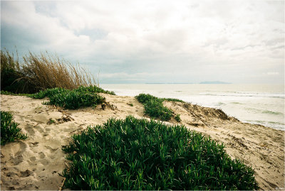 The Beach And Incoming Rain