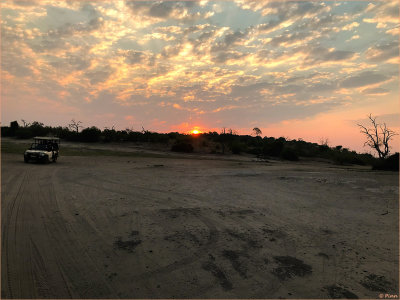 Sunrise Safari