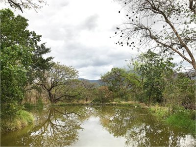 Ehlanzani Pond