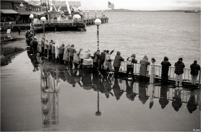 Fishing In The Rain...