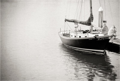 Setting Sail Again...