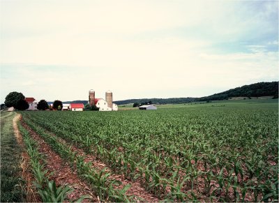 Typical Farm in Wisconsin