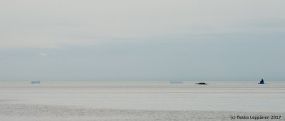 Distant ships by the Porkkala lighthouse