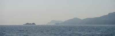Hazy shoreline