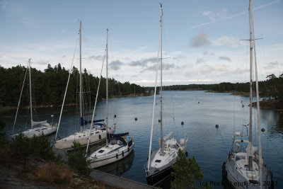 Vedette at  ngest