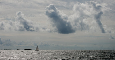 8 m/s