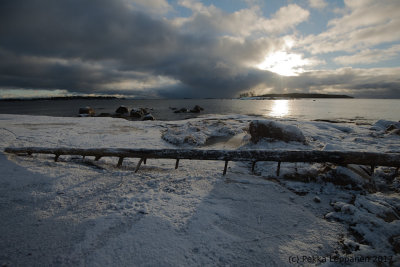 Driftwood