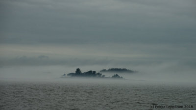 Sea of fog