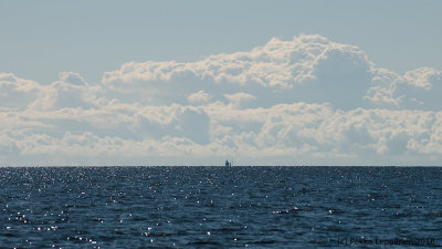 From Porkkala lighthouse to Tallinn TV tower / Clouds over Estonia
