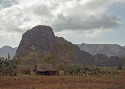 2N9A7818 Cuban Landscape.jpg