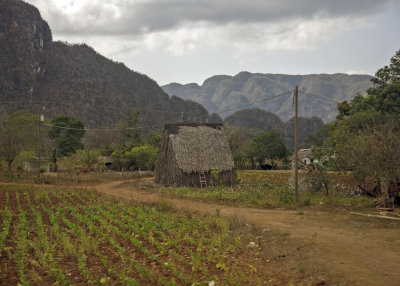 2N9A7820 Cuban Landscape.jpg