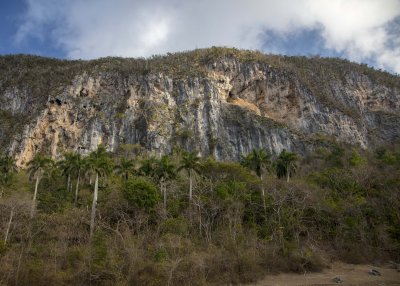 2N9A7991 Magote.jpg