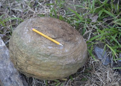 2N9A8035 Concretion.jpg