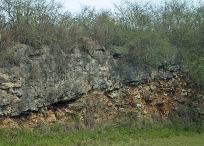 2N9A8286 Quaternary on Miocene rocks.jpg