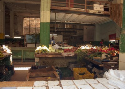 2N9A8818 Havana.jpg