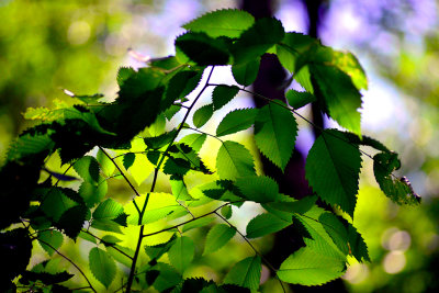 DSC_5059.jpg
