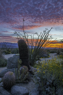 Sunrise at Anza Borrego Desert State Park, CA