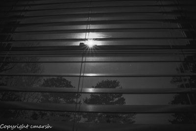 RMR_7745-Edit.jpg