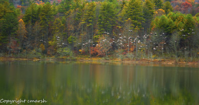 RMR_7432-Edit.jpg