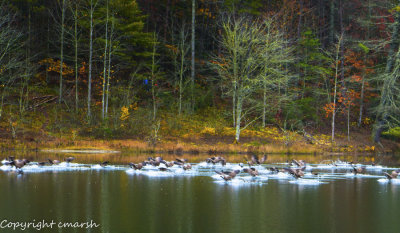 RMR_7447-Edit.jpg