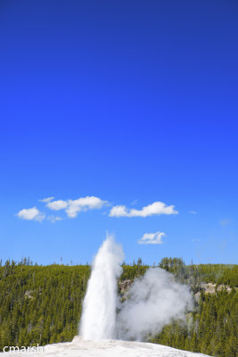 RMR_6558-Edit.jpg - 'Old Faithful' 11