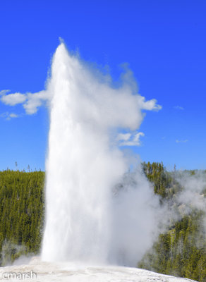 RMR_6565-Edit.jpg - 'Old Faithful' - IV