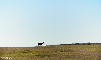 RMR_6709-Edit.jpg