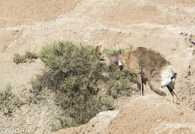 RMR_6781.jpg