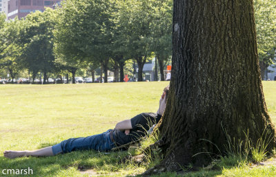 RMR_5914.jpg - In Repose