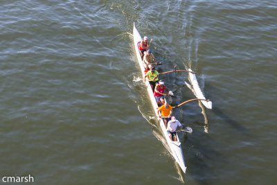 RMR_5973.jpg
