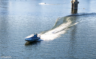 RMR_6017.jpg