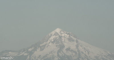 RMR_6100.jpg