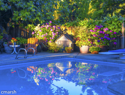 RMR_6290-Edit.jpg - SE Viewcrest Drive - Flora 
