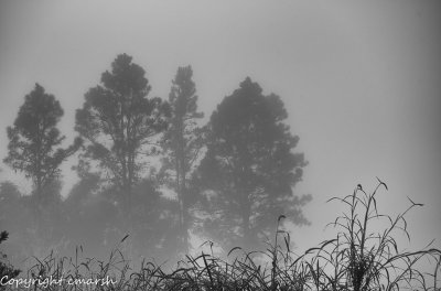 RMR_8282-Edit.jpg