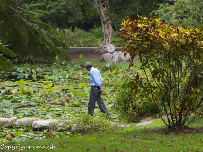 RMR_8675.jpg - Contemplation