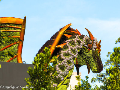 RMR_0810.jpg - Dragon