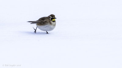 Walking II: walking on crust