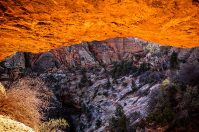 zion_nat_park_18