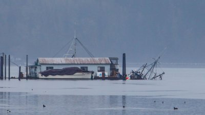 2017-03-11 Suinking Boat.jpg