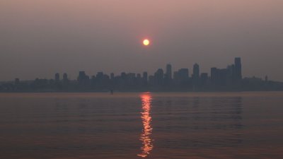 Seattle CBD Smokey Sunrise