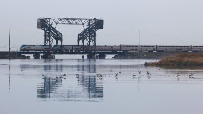 Train 11 Bridge 14