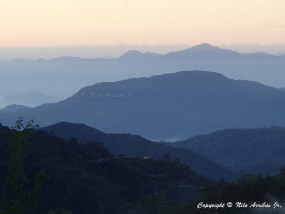 P2280767--WEB.jpg