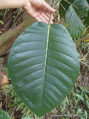 P1250091--WEB.jpg