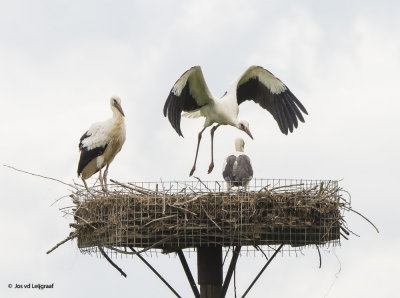 Eerste proefvlucht .!! 