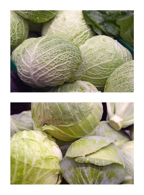 cabbages