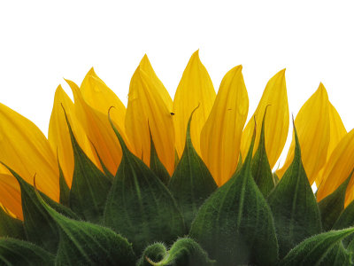 g10/44/1145044/3/167810853.2Ng9TbZw.jpg