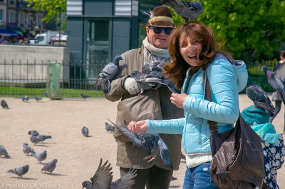 Mingling with the Pigeons Paris France