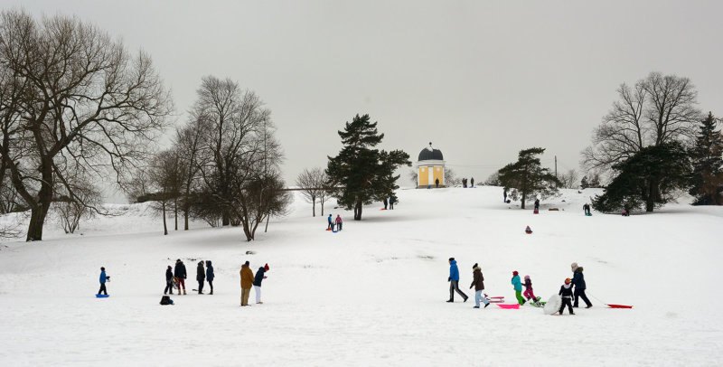 Winter Sunday In Brunsparken